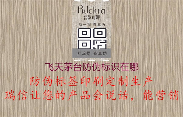 飛天茅臺防偽標(biāo)識在哪1.jpg