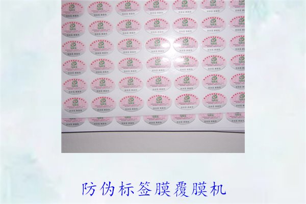 防偽標(biāo)簽?zāi)じ材C(jī)1.jpg