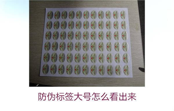 防偽標(biāo)簽大號(hào)怎么看出來2.jpg