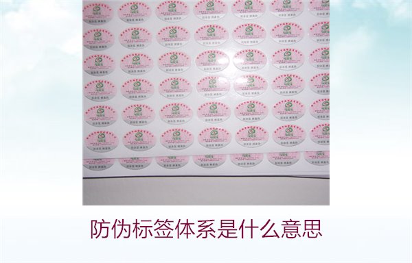 防偽標(biāo)簽體系是什么意思?了解防偽標(biāo)簽體系的定義與功能(圖1) 防偽標(biāo)簽體系是什么意思1.jpg