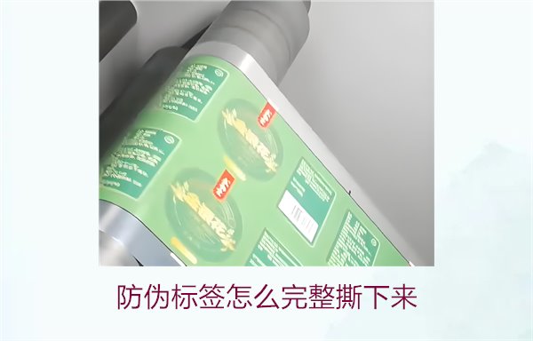 防偽標(biāo)簽怎么完整撕下來(lái)?方法步驟詳解及注意事項(xiàng)(圖2) 防偽標(biāo)簽怎么完整撕下來(lái)?方法步驟詳解及注意事項(xiàng)(圖2)